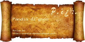 Pandia Ágnes névjegykártya